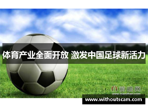 体育产业全面开放 激发中国足球新活力